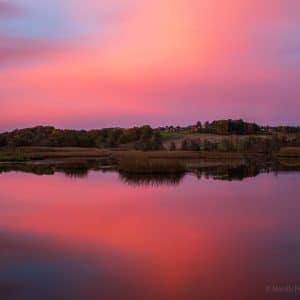 Rosa himmel - Digital